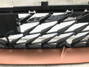 SEAT CUPRA BORN 2021-23 FRONT BUMPER RADIATOR LOWER GRILL GRILLE 10E853677 C