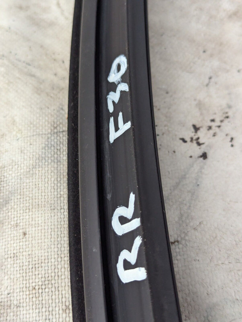 BMW 3 SERIES F30 11-19 REAR RIGHT O/S DOOR WINDOW GUIDE SEAL GASKET 177447-11-TR