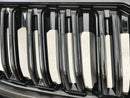 SKODA KODIAQ 2016-2020 FRONT BUMPER RADIATOR GRILL GRILLE in BLACK MATT