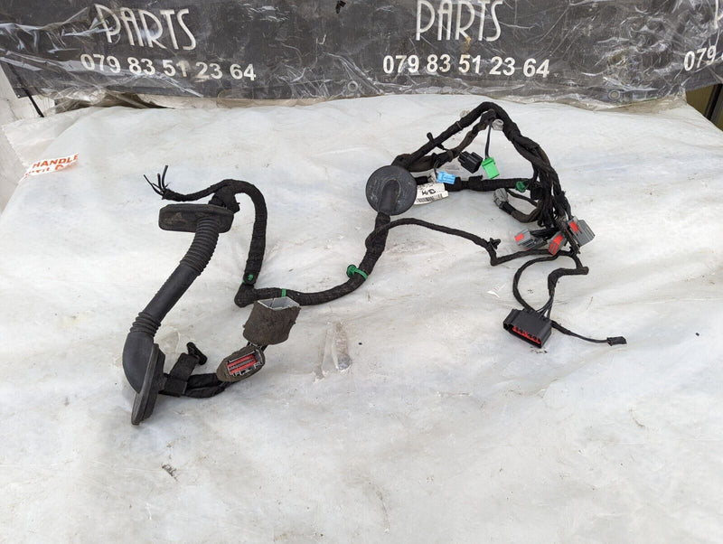 RANGE ROVER EVOQUE L538 FRONT LEFT N/S DOOR WIRING LOOM BJ32-14630-AHD GENUINE