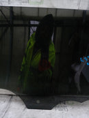 RANGE ROVER EVOQUE L551 2019-ON LEFT SIDE REAR DOOR WINDOW GLASS GENUINE