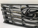 HYUNDAI TUCSON NX4e 2020 FRONT BUMPER GRILL RADIATOR & BRACKET, LOGO 86351-N7110