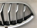 BMW 8 Series G14 G15 G16 FRONT BUMPER RADIATOR KIDNEY GRILL GRILLE iCAM 7449425