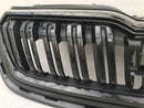 SKODA KAMIQ MONTE CARLO 19-23 FRONT BUMPER RADIATOR GRILL GRILLE & TOP COVER