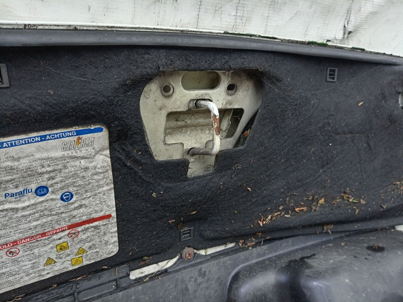 PEUGEOT BOXER FIAT DUCATO CITROEN RELAY 2006-14 GENUINE BONNET HOOD PANEL