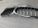 BMW 8 Series G14 G15 G16 FRONT BUMPER RADIATOR KIDNEY GRILL GRILLE iCAM 7449425