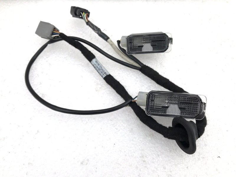 FORD ECOSPORT REAR TAILGATE NUMBER PLATE LIGHTS & WIRING LOOM GN15-17N400-BAB