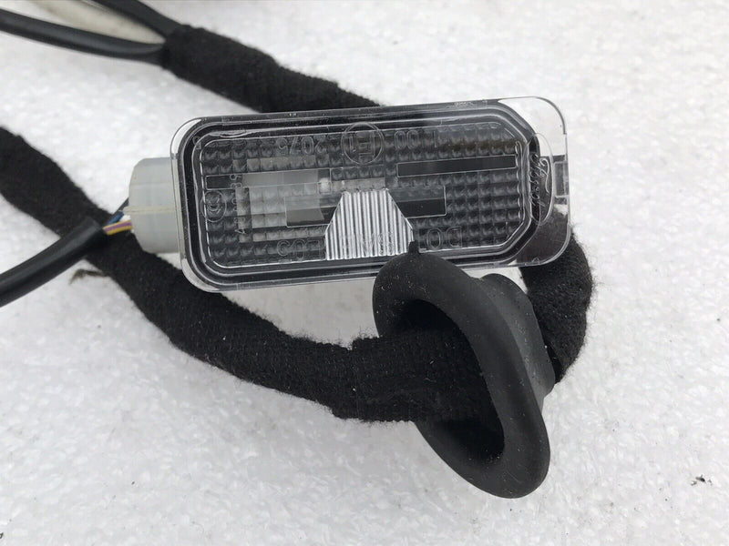FORD ECOSPORT REAR TAILGATE NUMBER PLATE LIGHTS & WIRING LOOM GN15-17N400-BAB