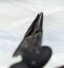 RANGE ROVER EVOQUE L538 2011-2015 DOOR MOLDING STRIP CHROME COVER BJ3M GENUINE