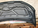 VW TRANSPORTER T6 T6.1 2016-2021 GENUINE BONNET HOOD PANEL in GREEN