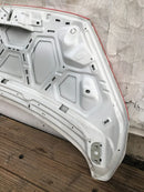 FORD COURIER MK1 2014-22 GENUINE BONNET HOOD PANEL in WHITE /RED ADGHESVE
