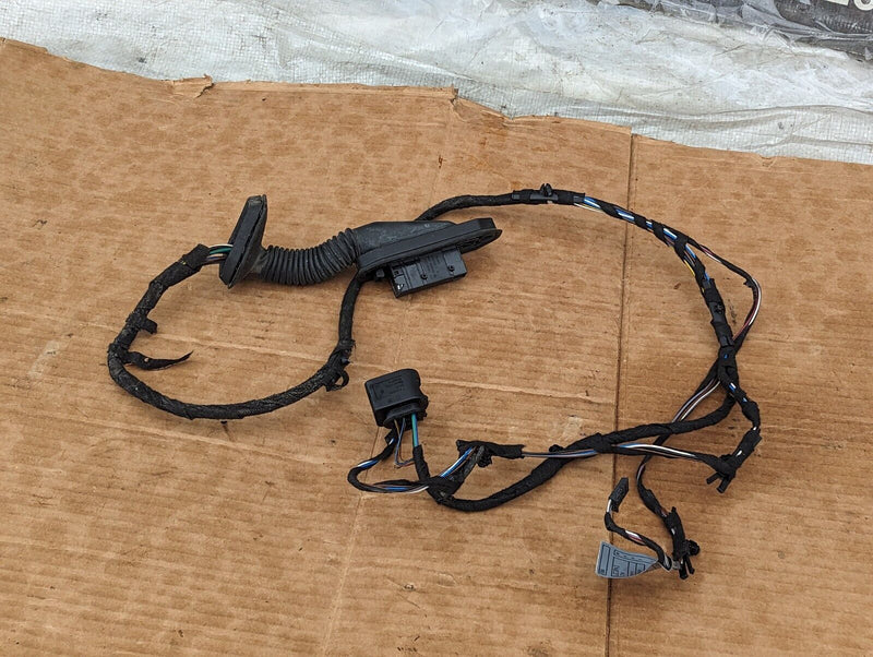 BMW X1 E84  09-15 REAR PASSENGER LEFT SIDE DOOR WIRING LOOM HARNESS 6925548