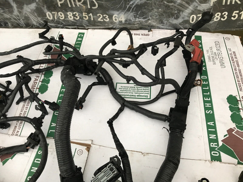 NISSAN QASHQAI J11 MK2 1.6 DCI *R9M ENGINE WIRING LOOM HARNESS & SMALL FUSE BOX