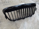 BMW 2 F45 F46 LUXURY 2014-2018 LEFT SIDE GRILLE PART GENUINE 7300543