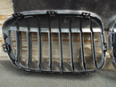 BMW X1 F48 2015-On Front Bumper Grills Grill Kidney 8 Ribs Right Left 7383363