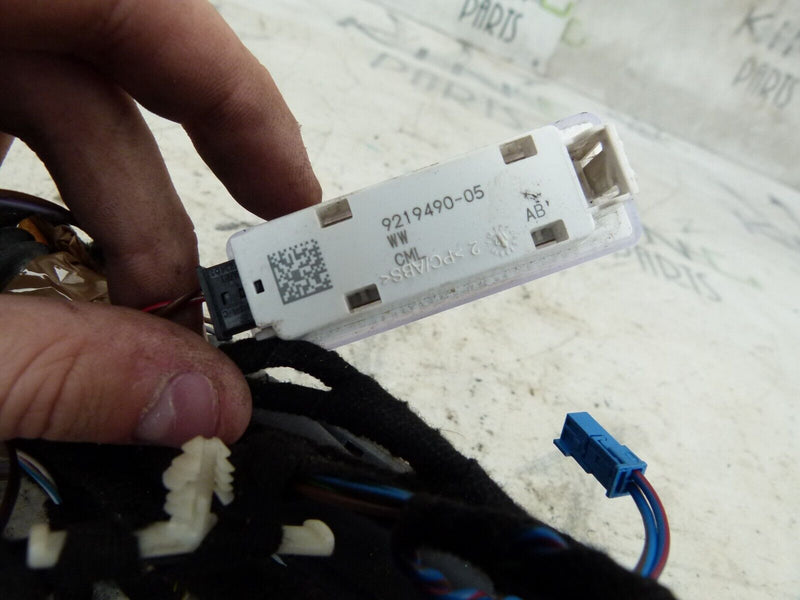 BMW F30 F31 2012-2015 FRONT LEFT PASSENGER SIDE DOOR WIRING LOOM 9286209 #