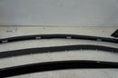 BMW 5 SERIES E60 M5 2003-2010 FRONT RIGHT DOOR TRIM STRIP MOULDING SEAL KIT