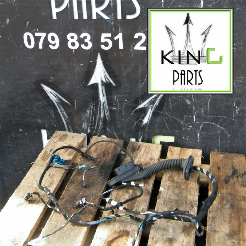 BMW 3 E90 E91 05-11 GENUINE WIRING LOOM HARNESS DOOR N/S  Rear Door Left Side