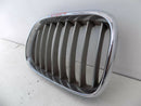 BMW X5 E53 FRONT BUMPER LEFT SIDE RADIATOR KIDNEY GRILL N/S 8247673