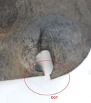 FORD FOCUS MKIII 2011-2014 5DR REAR RIGHT WHEEL ARCH LINING SPLASH GUARD