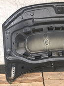 VW TIGUAN MK2 AD/BW FACELIFT 2019-23 GENUINE BONNET HOOD PANEL 5NA82315