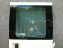 FORD TRANSIT MK6 MK7 DOUBLE CAB 2000-2014 RIGHT SIDE REAR DOOR PANEL