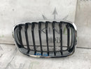 BMW 1 F20 2014 FRONT RADIATOR RIGHT GRILLE BASIS 51137239022 7239022