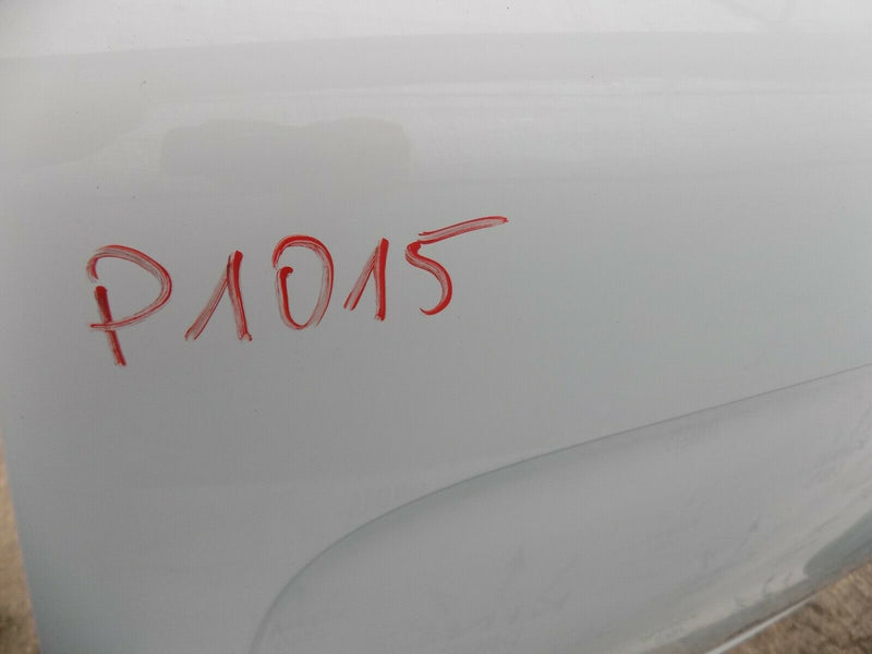 RENAULT KANGOO II MK2 2007-20 GENUINE REAR DOOR PANEL LEFT PASSENGER SIDE