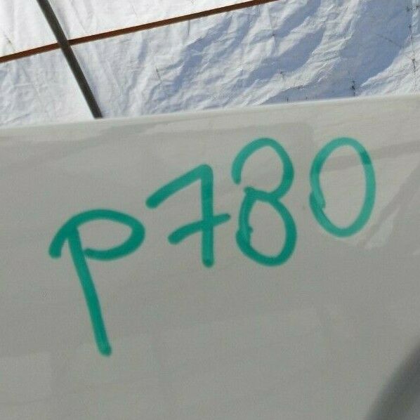 MERCEDES SPRINTER W910 2019-ON FRONT RIGHT DOOR PANEL WHITE