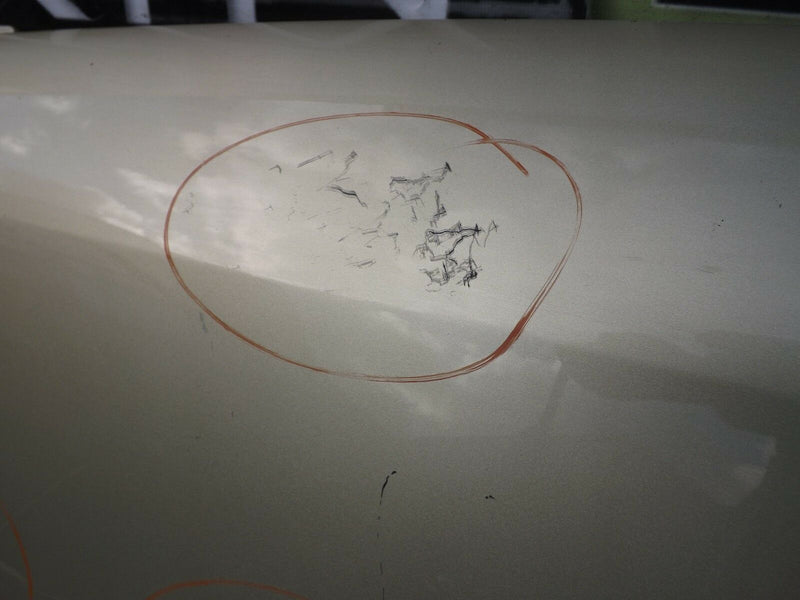 Genuine Smart 04-06 Forfour Four 4 Door Left Passenger Side N/F/L Door Skin