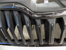 SKODA FABIA III MK3 MONTE CARLO 2019-ON FL FRONT BONNET GRILLE 6V0853653C