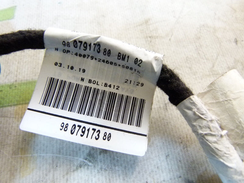 PEUGEOT 308 SW ESTATE 2017-21 FRONT LEFT SIDE DOOR WIRING LOOM 9807917380