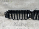 BMW G20 G21 3 SERIES 2019-2021 FRONT BUMPER GRILL KIDNEY 5113192976-10