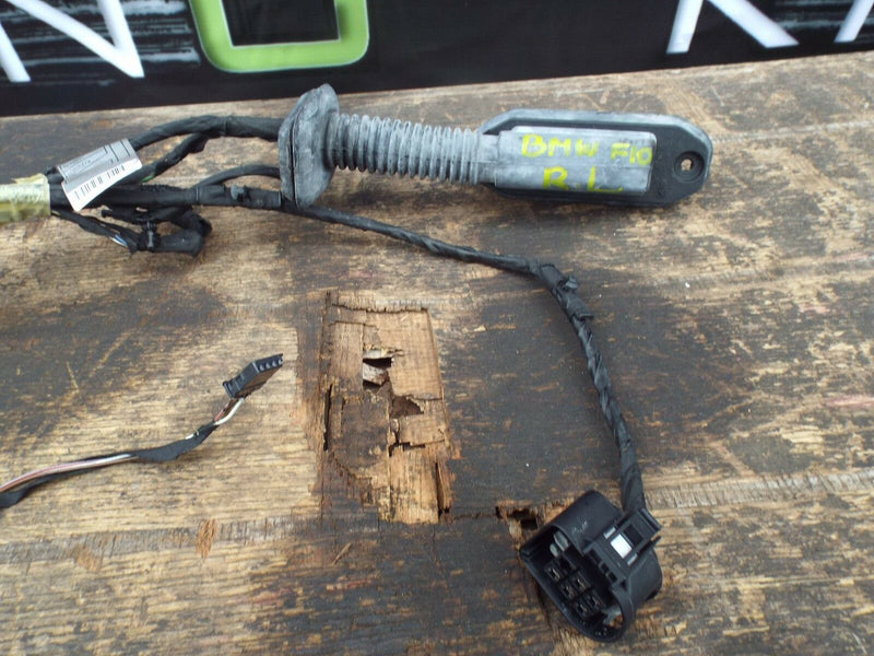BMW F10  2010-2016  Rear Door Wiring Loom Harness Left Passenger  Side N/S