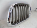 BMW X5 E53 FRONT BUMPER LEFT SIDE RADIATOR KIDNEY GRILL N/S 8247673