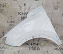 MG ZS 2018-2021 FRONT FENDER WING PANEL LEFT PASSENGER SIDE