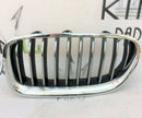 BMW F10 F11 FRONT BUMPER UPPER GRILL RADIATOR KIDNEY LEFT SIDE - 10 RIBS 7412323
