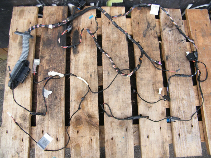 BMW X6 E71 2008-2014 Front Right Door Wiring Loom 9242070 01