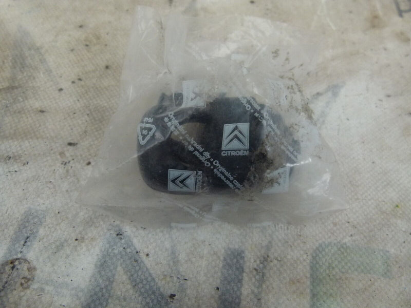 PEUGEOT 307 2003-2005 DOOR HANDLE END CAP COVER GENUINE 9634767577 S80-06