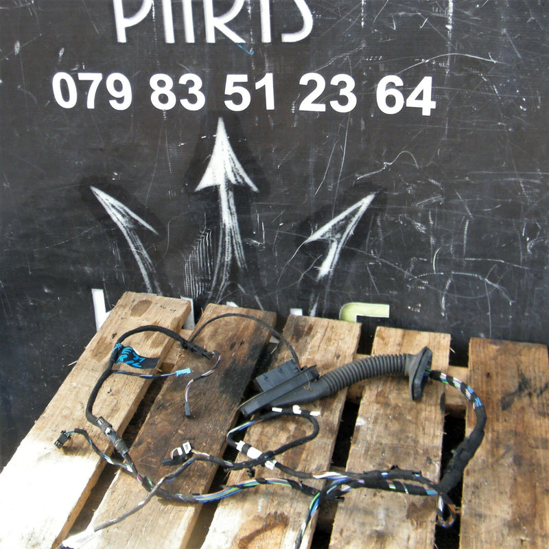 BMW 3 E90 E91 05-11 GENUINE WIRING LOOM HARNESS DOOR N/S  Rear Door Left Side