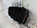 BMW 5 SERIES F10 F11  2009-2014  DRIVER SIDE KIDNEY GRILL 51137200727