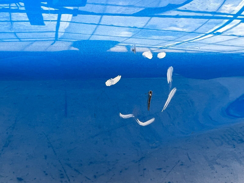 BMW 2 SERIES F44 M-SPORT 2019-ON REAR BUMPER WITH DIFFUSER 5112 8075426