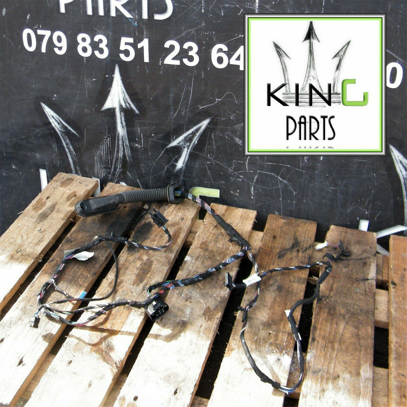 BMW 3 E90 E91 05-11 GENUINE WIRING LOOM HARNESS DOOR O/S  Rear Door Right Side