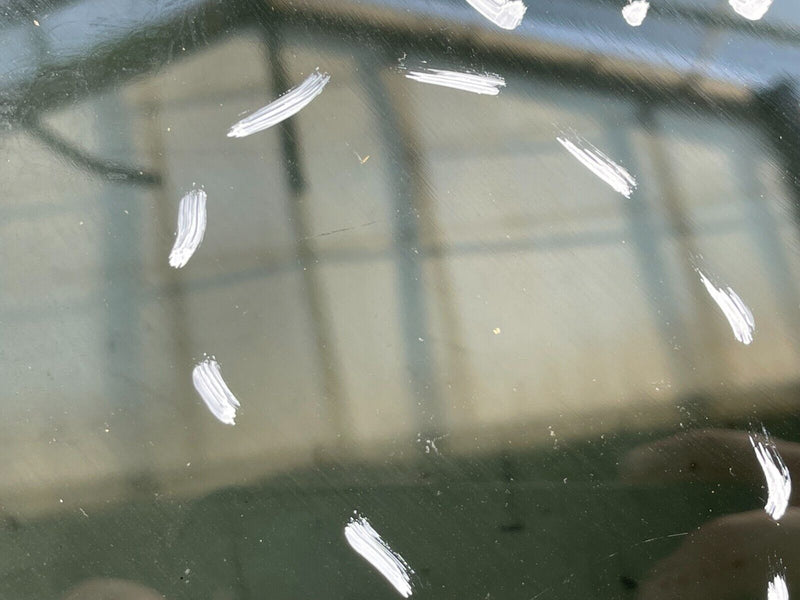 RANGE ROVER SPORT L494 13-21 REAR DOOR LEFT PASSENGER SIDE WINDOW GLASS GENUINE