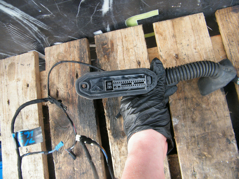 BMW 3 E90 E91 05-11 GENUINE WIRING LOOM HARNESS DOOR N/S  Rear Door Left Side