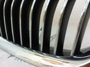 BMW F10 F11 FRONT BUMPER UPPER GRILL RADIATOR KIDNEY LEFT SIDE - 10 RIBS 7412323