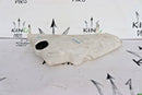 AUDI A5 8T /A4 B8 2007-2016 WINDSCREEN WASHER BOTTLE 8T0955453C