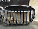 BMW X1 F48 2015-On Front Bumper Grills Grill Kidney 8 Ribs Right Left 7383363