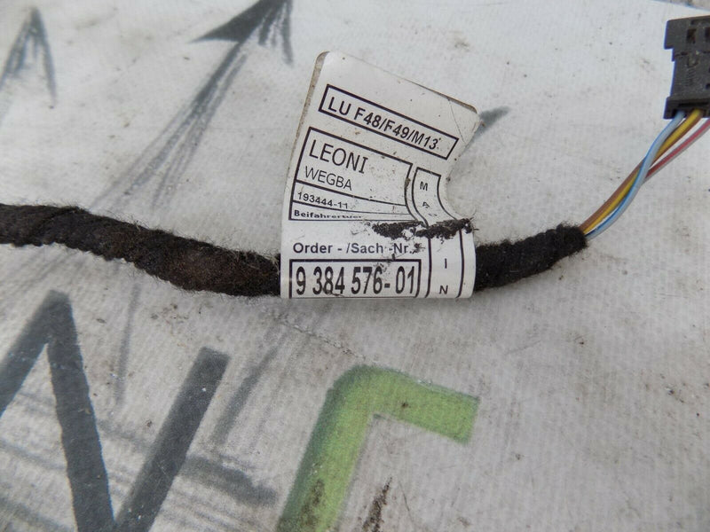 BMW X1 F48 F49 2015-ON FRONT RIGHT DOOR DRIVER WIRING LOOM 19344411 *N2
