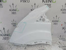 FORD TRANSIT MK8 2014-2018 NEARSIDE LEFT FRONT WING FENDER PANEL